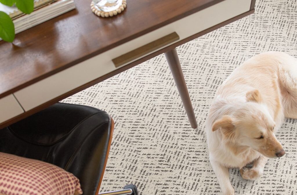 Save On Pet Friendly Carpet!