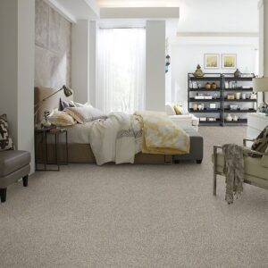 Spring Ahead - Bargain Blowout Inventory Shaw Carpet