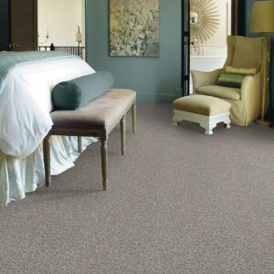 Spring Ahead - Bargain Blowout Inventory Sale Shaw Carpet
