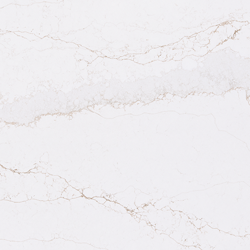 Cloud Ridge (Viatera) Close Up