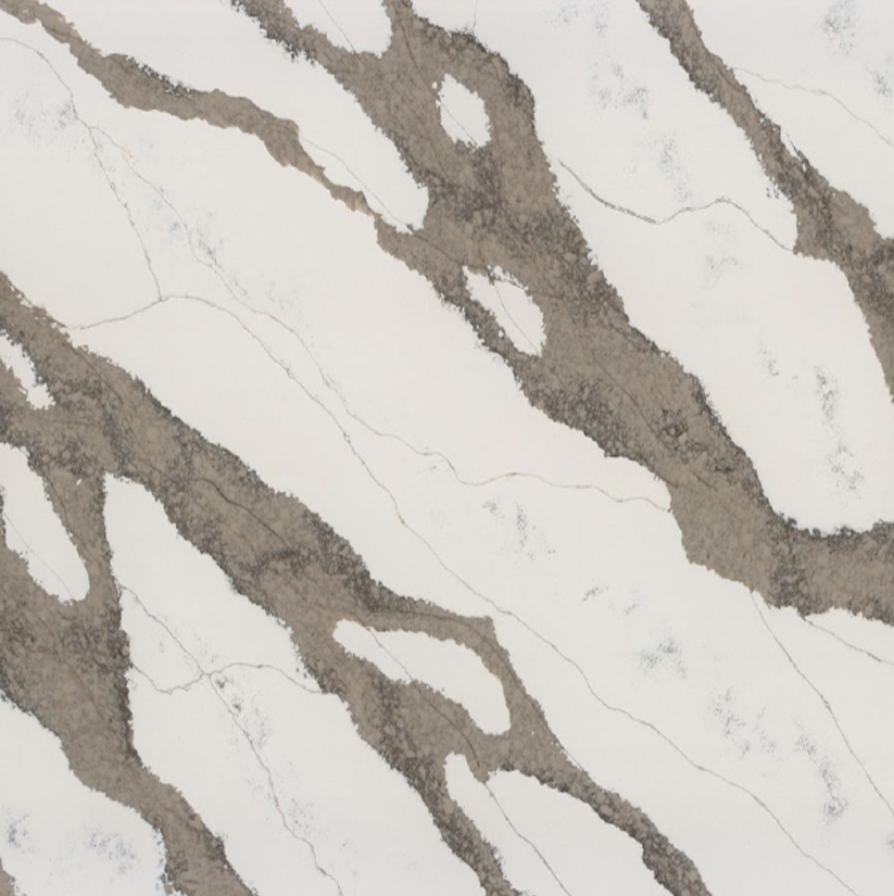 Safari Delta (Vadar) Close Up