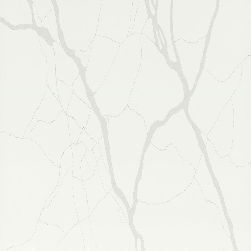 Statuario Fiora (ENVI) Close Up